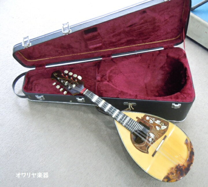 楽天市場】カラーチェマンドリンNo.15オールド RAFFAELE CALACE 