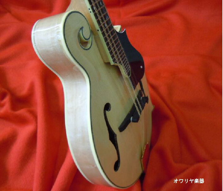 楽天市場】フラットマンドリン 総単板IMPERIAL1200【新品アウトレット 