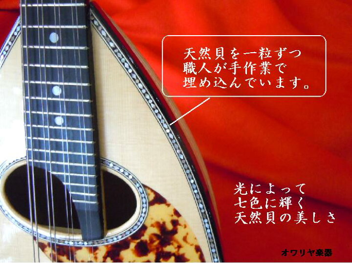 楽天市場】マンドリン 渦巻きヘッド・リブ胴 高級マンドリン : おかげ 