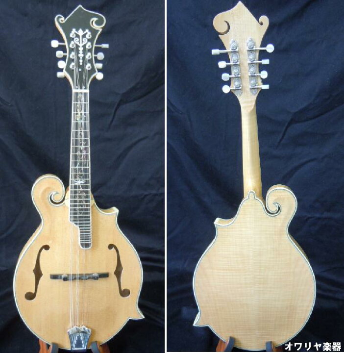 楽天市場】フラットマンドリン Gibson Fタイプ ナチュラル ハード 