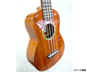 EN@\vm@n[hP[X@`[jO@@S҃Zbg@Xgbv