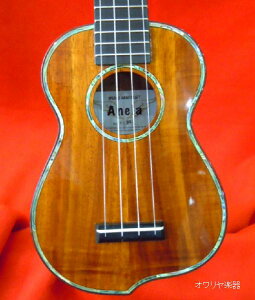 EN\vm@Vg̃EN VRAoL׍H@nCARAEN @n[hP[XZbg