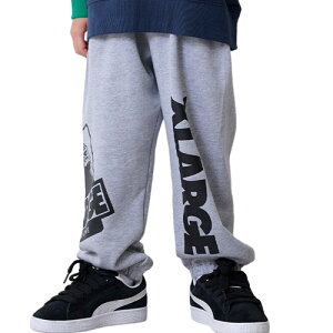 GNXg[W LbY XLARGE KIDS qǂ 80-140cm rbOOG&SXEFbgpc gbvO[ 80cm/90cm/100cm/110cm/120cm/130cm/140cm 120TCY܂Ń[OK 2025H~ уOpc X-LARGE KIDS G