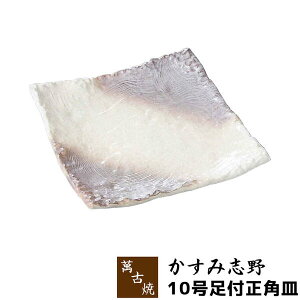 yiz ݌Ï ݎu 10tpMM M M M aH  a v[g ig lp HX   Mtg j v[g ̓  Ï {