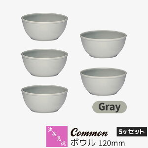yiz g Common {E 120mm 5Zbg GrayO[  X[v{E fU[g{E M q ~jT_{E HZbg  킢 Vv ig ObhfU