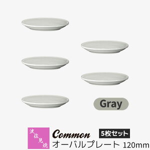 yiz g Common I[ov[g 120mm 5Zbg GrayO[ ȉ~M M M M M HZbg  킢  Vv ig ObhfUC dqW
