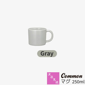 yiz g Common }O 250ml GrayO[ }OJbv Rbv   n mH  킢  ig dqWΉ H@Ή Mtg j v[g 