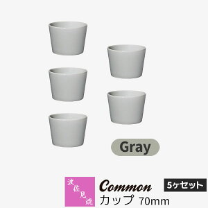 yiz g Common Jbv 70mm 5Zbg GrayO[ t[Jbv  Rbv t 傱 ۂ HZbg  킢  Vv ig n ObhfUC