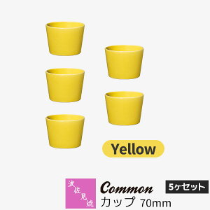 yiz g Common Jbv 70mm 5Zbg YellowF CG[ t[Jbv  Rbv 傱 ۂ HZbg  킢  Vv ig n ObhfU