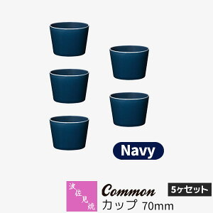 yiz g Common Jbv 70mm 5Zbg NavylCr[ F t[Jbv  Rbv 傱 ۂ HZbg  킢  Vv ig n ObhfUC