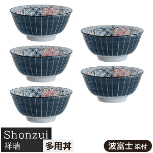 yiz Shonzui ː p 5Zbg gxm tǂԂ蔫  X[v{E ˗ [Ԃ T_{E HZbg  `͗l ` N悢 킢  