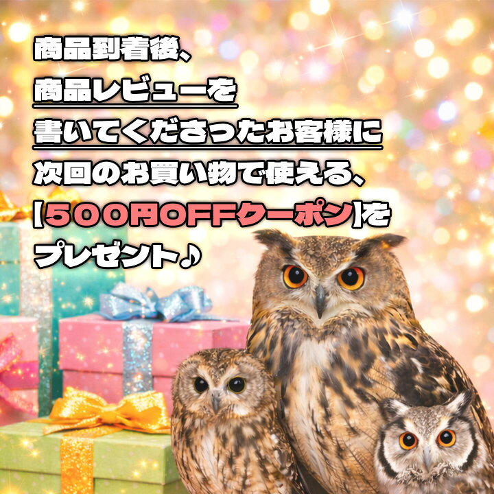 楽天市場】【ショート丈】猛禽用ファルコングローブ【S〜Lサイズ 
