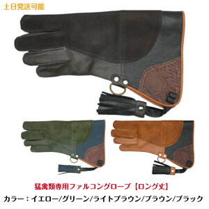 yOzҋחpt@RO[uyt[TCYzyCG[/O[/CguE/uE/ubNzv GKP ҋח tNE ^J nuT `EQ{E