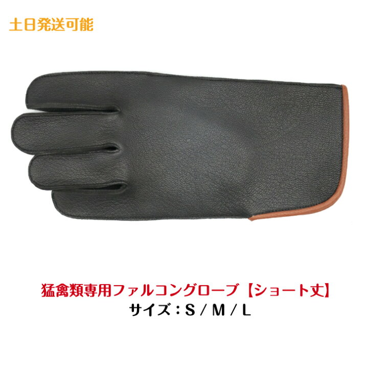 楽天市場】【ショート丈】猛禽用ファルコングローブ【S〜Lサイズ】革 