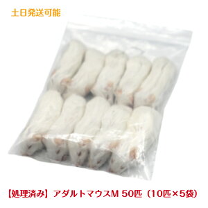 yς݁zⓀA_g}EXM 50C a Ⓚa GT ҋח ঒  tNE ^J nuT