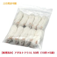 【処理済み】冷凍アダルトマウスL 50匹 中抜き餌 冷凍餌 エサ 猛禽類 爬虫類 両生類 フクロウ タカ ハヤ…