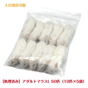 yς݁zⓀA_g}EXL 50C a Ⓚa GT ҋח ঒  tNE ^J nuT