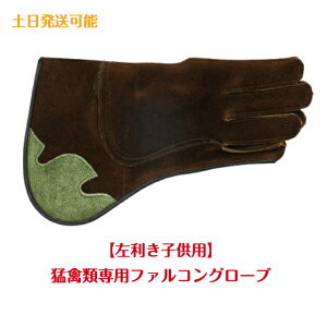 yqpzҋחpt@RO[uyt[TCYzv GKP ҋח tNE ^J nuT `EQ{E