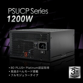 オウルテック製 80PLUS PLATINUM認証 フルモジュラー式 ATX電源 1200W(OEC-PSUCP1200)