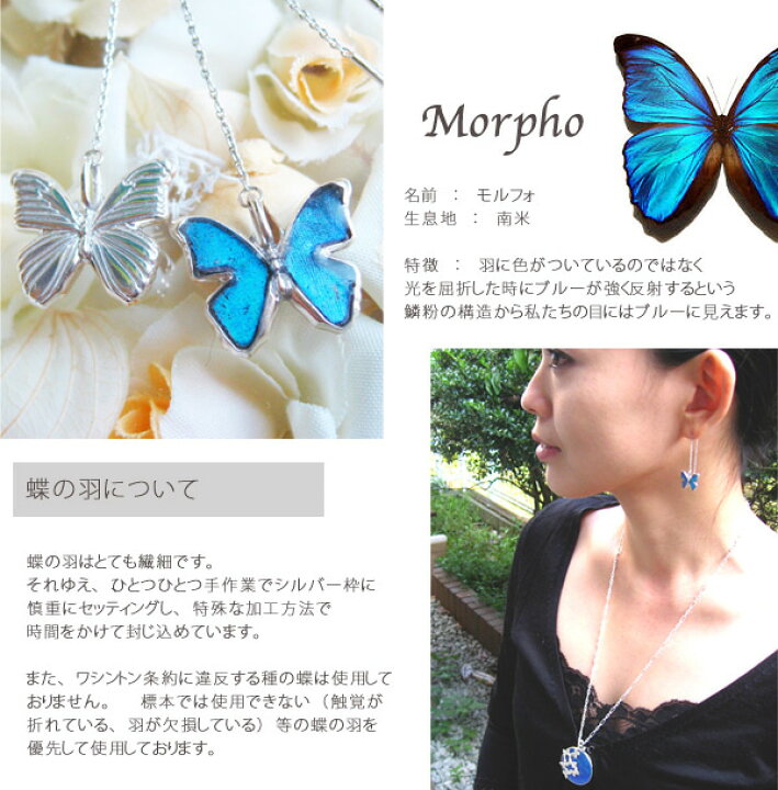 楽天市場】(Psyche/オーダー品) 蝶の羽 バタフライ モルフォデザイン 