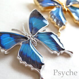 (Psyche/オーダー品) 本物の蝶の羽 アゲハ 蝶 ブローチ ペンダント 2WAY仕様 (ドクソコパチェルビナ/シルバー925）