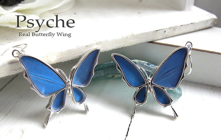 楽天市場】【スーパーセール◇10%OFF】(Psyche/オーダー品) バタフライ 