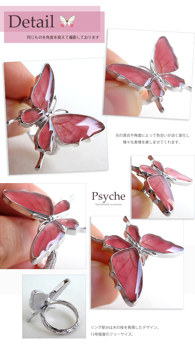 楽天市場】(Psyche/オーダー品) バタフライ 舞い飛ぶ蝶 リング