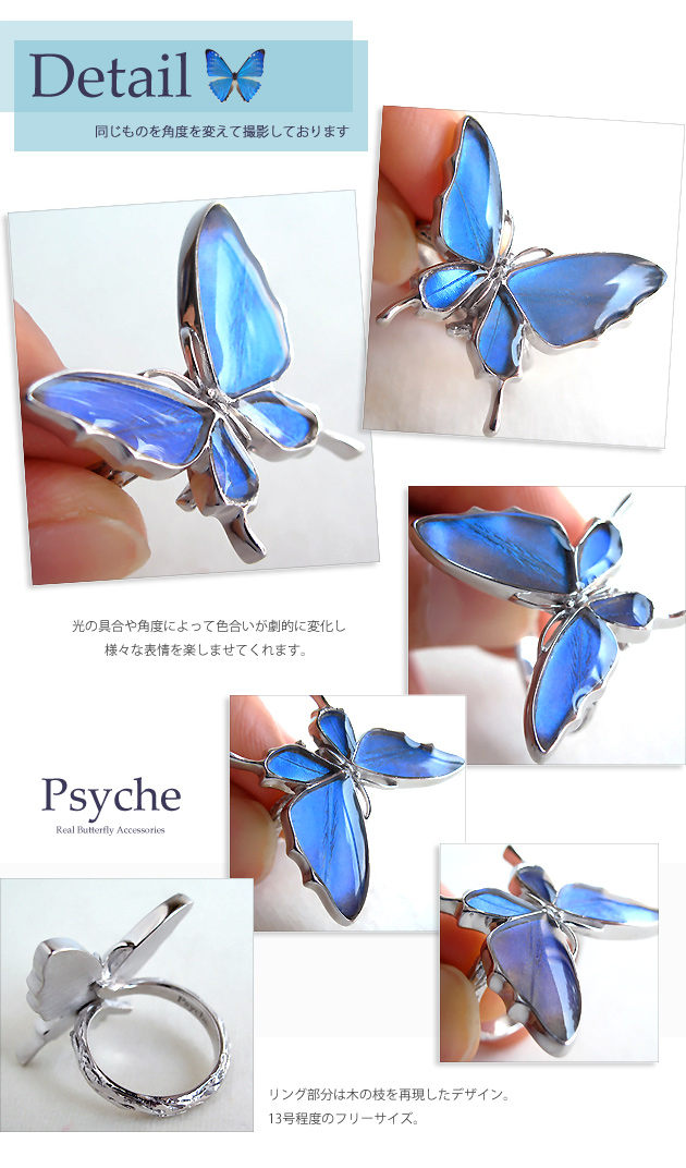 楽天市場】(Psyche/オーダー品) バタフライ 舞い飛ぶ蝶 リング