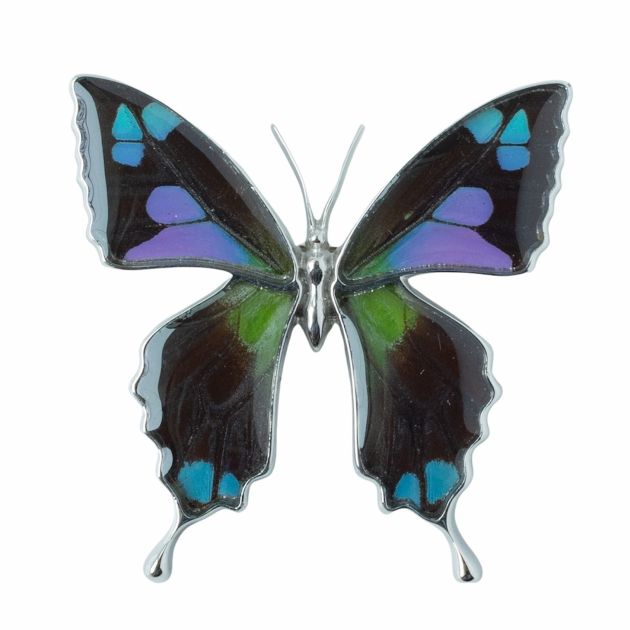 [ミイロタイマイ] 本物の蝶の翅 アゲハ蝶 ブローチ兼ペンダント [Psyche] [zps025r-bk] | オウン・ピー（アクセサリー）