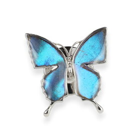 (Psyche/現品) アゲハ蝶デザイン バタフライ ラペルピン [ゼフィリティスモルフォ] メンズプシュケ