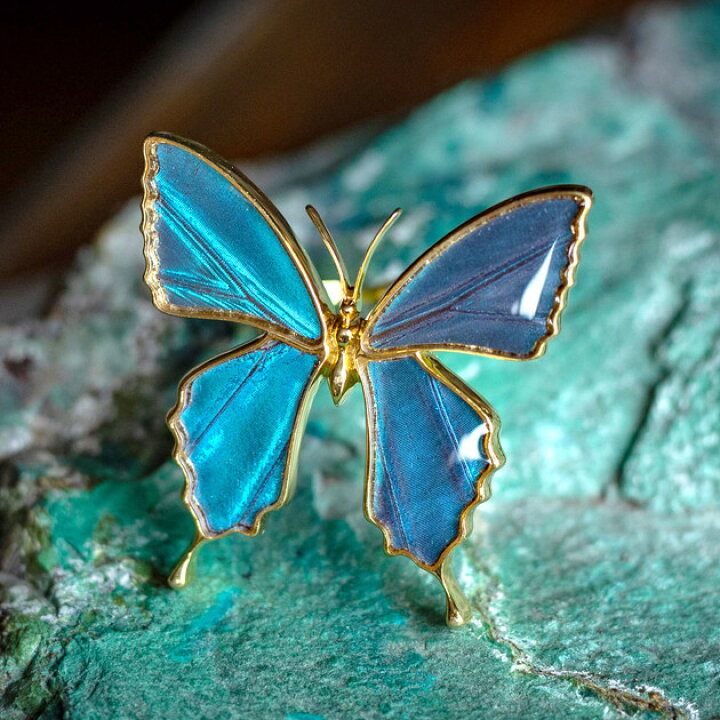 楽天市場】(Psyche/オーダー品) バタフライ アゲハ蝶デザイン リング  