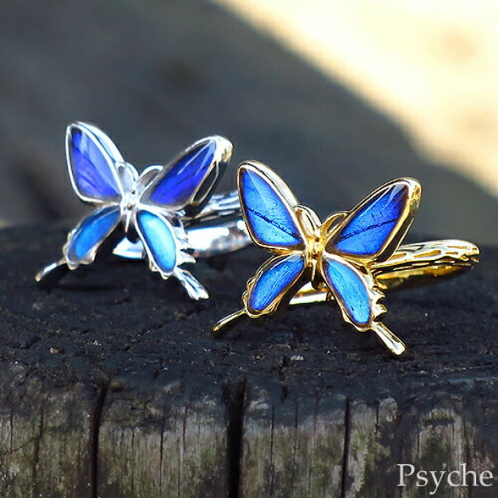 楽天市場】(Psyche/オーダー品) 本物の蝶の羽 小さなアゲハ蝶 シルバー  