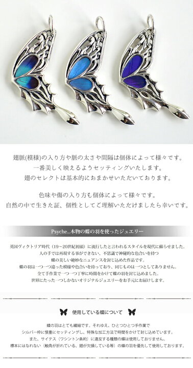 楽天市場】(Psyche/オーダー品) -Agehaコラボ- 本物の蝶の羽 アゲハ蝶 