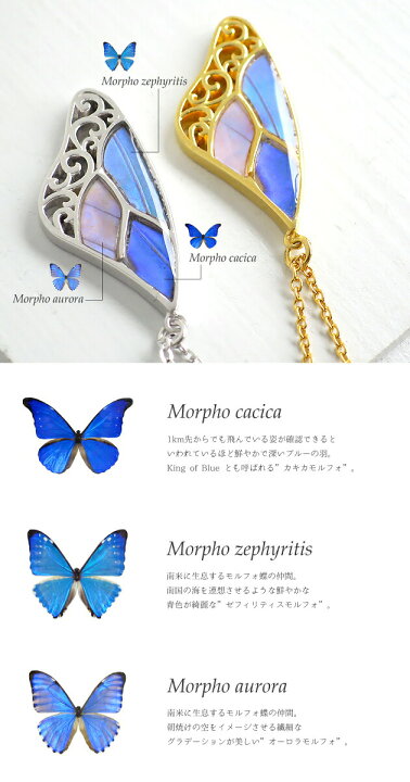 楽天市場】(Psyche/オーダー品) 本物の蝶の羽 上羽 3種羽 シルバー925