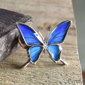 (Psyche/オーダー品) 本物の蝶の羽 シャープな羽の蝶 シルバー925 ピンブローチ 蝶々 バタフライ タミラスムラサキシジミ メンズプシュケ