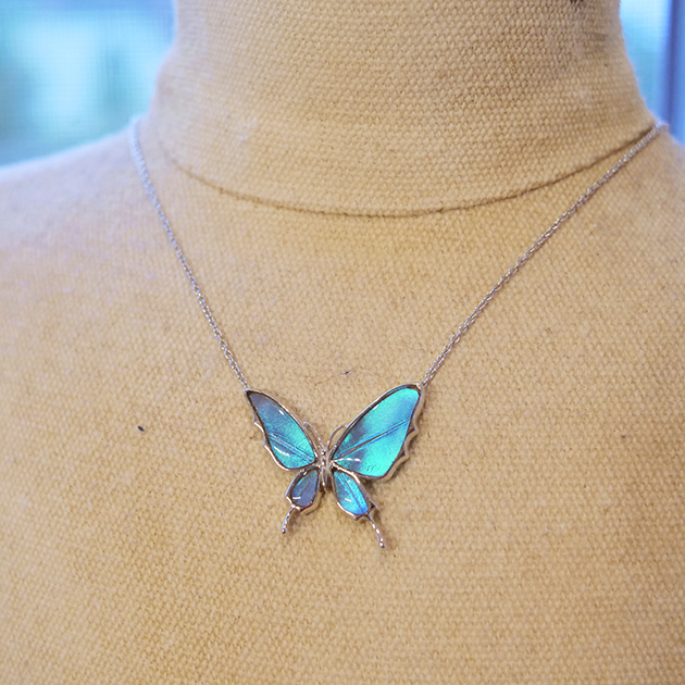 楽天市場[ゼフィリティスモルフォ 本物の蝶の翅 舞い飛ぶ蝶