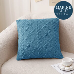 y900~OFFCP-3buyz_^ NbVJo[ 45×45cm jbg IV 킢 ͗lւ V NbV Jo[ 􂦂 k i` l炵 rO \t@ xbh v[