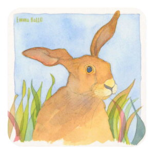 Emma Ball p R[X^[ [10cm×10cm]  CeAG Lb`G  킢  v[g Mtg@Hare EBCW018