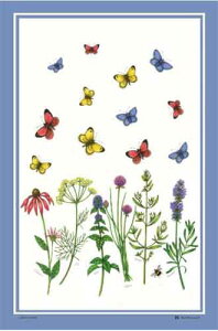 Samuel Lamont eB[^I l&Rbg ^yXg[ CMX `}bg NX ^I fBbV^I H@ z z ӂ 唻 킢  G p CeA H