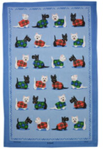 Samuel Lamont eB[^I Rbg ^yXg[ CMX `}bg NX ^I fBbV^I H@ z z ӂ 唻 킢  G p CeA Scottie & W