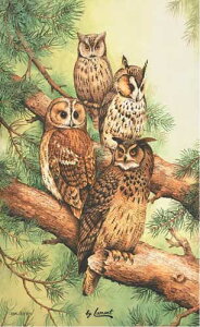 Samuel Lamont eB[^I Rbg ^yXg[  ӂ낤 tNE  CMX `}bg NX ^I fBbV^I H@ z z ӂ 唻 킢  Four Wi