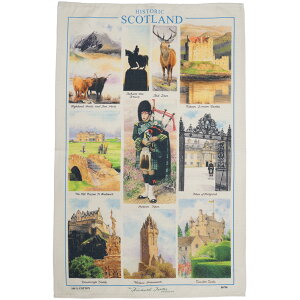 Samuel Lamont eB[^I Rbg ^yXg[ CMX `}bg NX ^I fBbV^I H@ z z ӂ 唻 킢  G p CeA Historic Sc