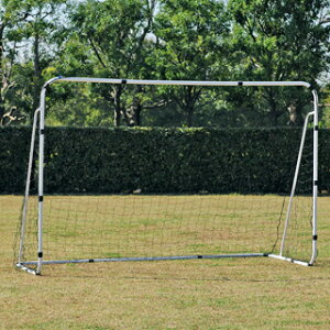 yzg[GCCg (TOEI LIGHT)tbgTS[S300 1@B-6233