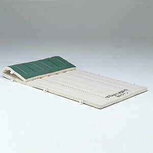 yzg[GCCg (TOEI LIGHT) 5cmmXbvRrl[V}bgi9zj120×300×5cm T-1333