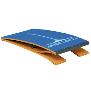 �y���������z�g�[�G�C���C�g (TOEI LIGHT) ���C�^�[��100 T-2717