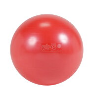 Wアクションポンププレゼント】ギムニク PLUS55R 赤 55cm　 バランスボール 55　【正規品】輸入元（株）…