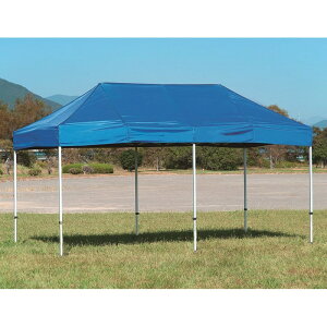 �G�o�j���[(EVERNEW) �N�C�b�N�e���g2.4×3.6 EKA101