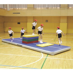 Goj[(EVERNEW) GA[gbN}bg600 ETE212