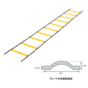 Goj[(EVERNEW) \tg_[g[jO[v EGA480