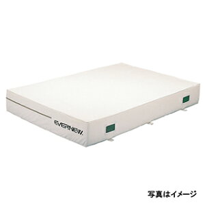 �y�����ʓr�z�y�@�l���菤�i�z�G�o�j���[(EVERNEW) �R�ۉ������~1�D5×2×0�D2 EGD241